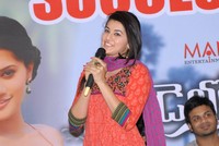 Gundello Godari Success Meet Photos
